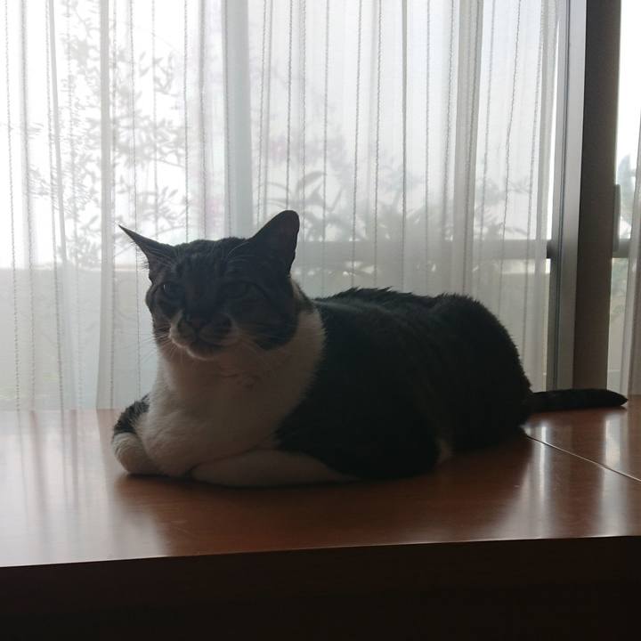 20326995 532d 4cb6 987e 7007939c1764 1557698398950