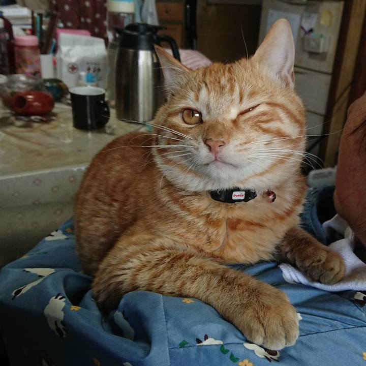 20327035 59d9 4396 a599 09f65c8f614b 1648455158440