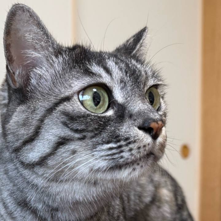 20327a0e fca7 41ad 8f48 ae75eec5d244 1762573055870