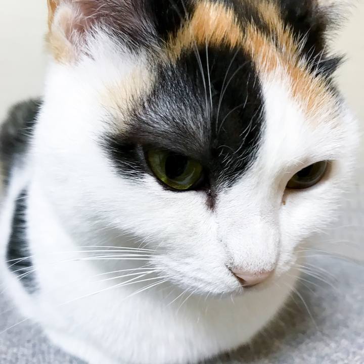 20327bf3 af82 43e1 8913 304e1fd6e5a2 1515195224907