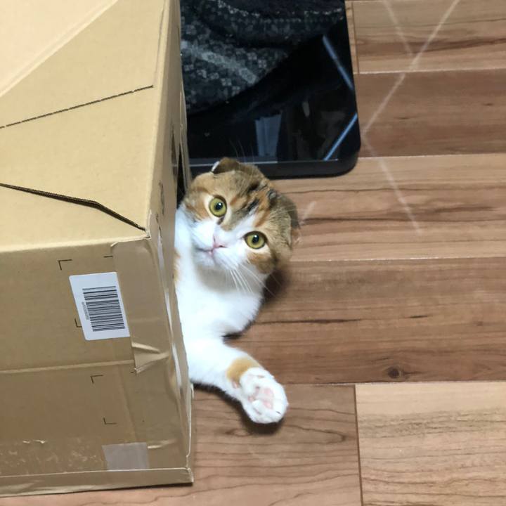 203284ac a0f5 4137 88af 7ab8a9671242 1521192979755