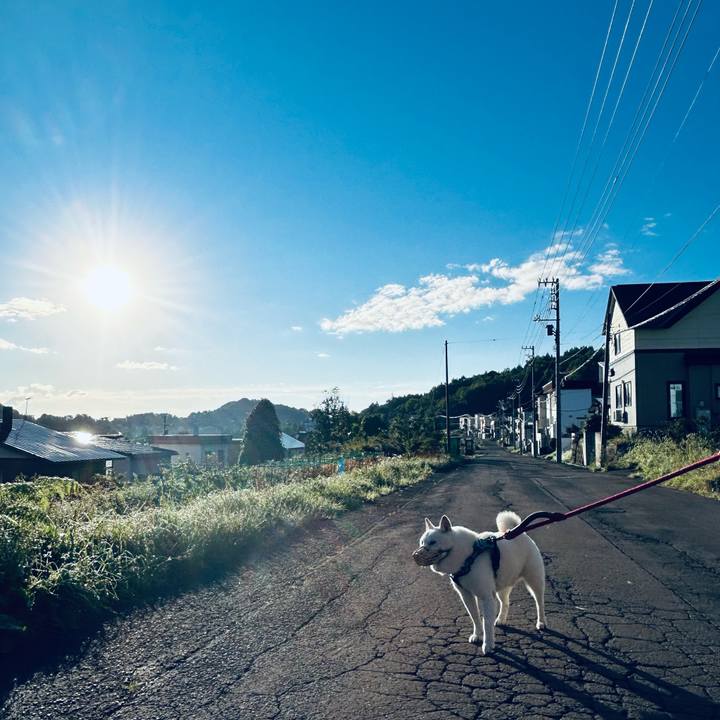 2032ad92 5699 4e93 8803 4edf9d47a4b6 1725317308825