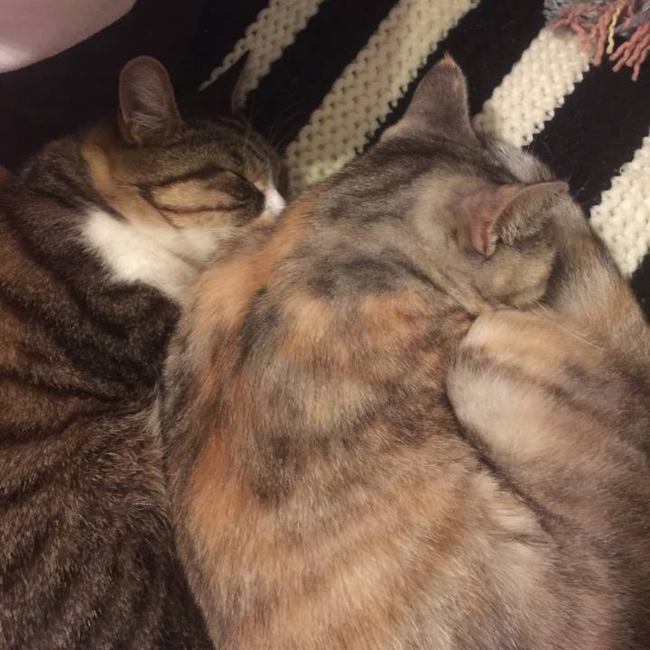 2032baaa 9e4c 47fa 973c c9cde1360cf5 1574938003162