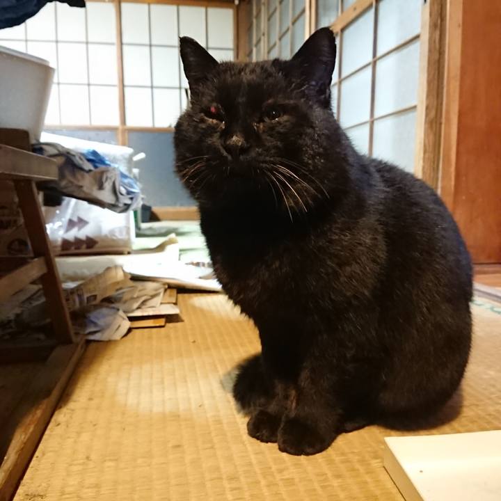 20336506 d81f 4765 8281 17b9c111845a 1615378459643