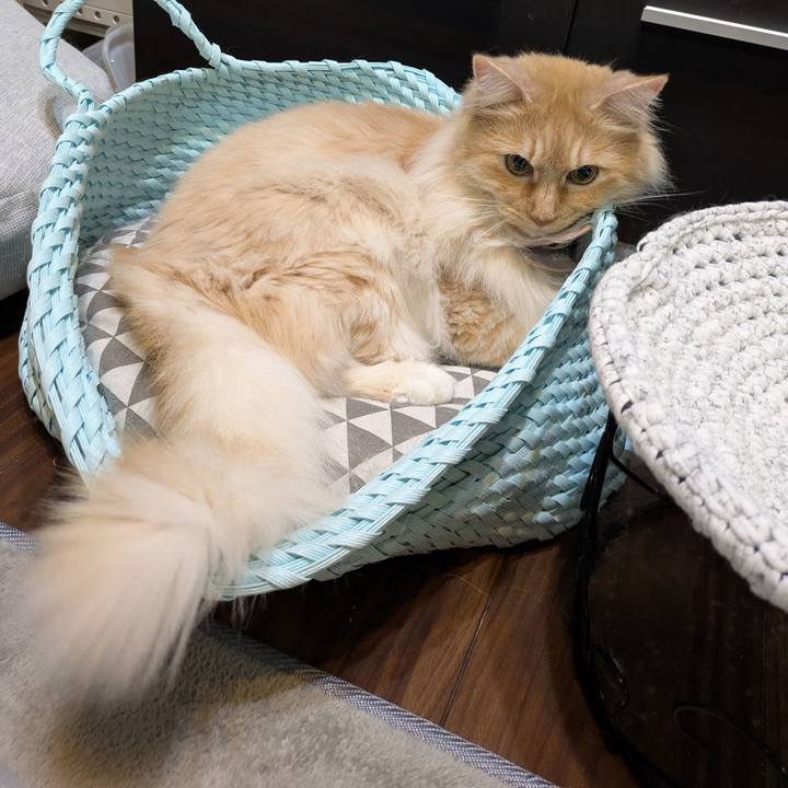 20337606 e695 44f1 a47a 4a4fd3643bbb 1746360578160