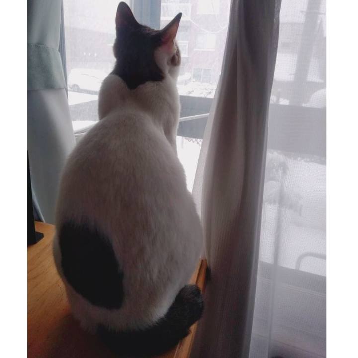 20337bc3 4942 4bb2 bde6 c43db260e607 1674264800758