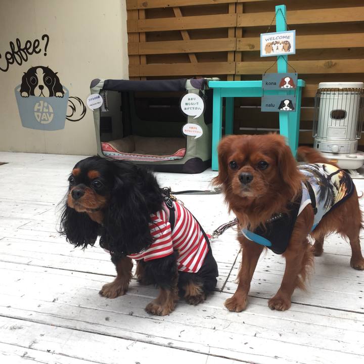 203398c2 4d45 4e8b 8568 e0180a2c0581 1525526704375