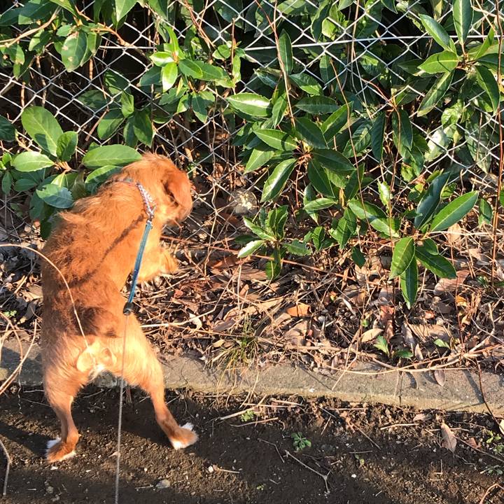 2033d868 ee6b 4918 8bdd 8a438ecc441b 1582286265182