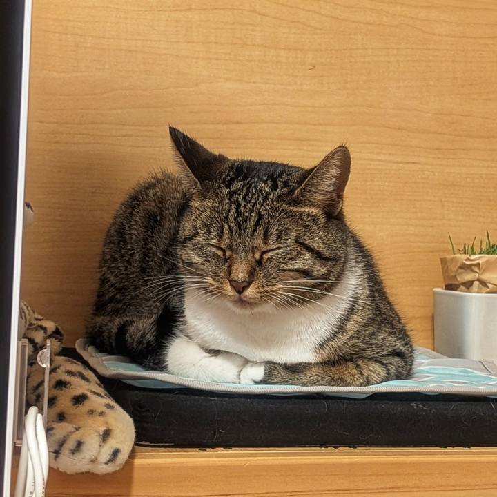 2033fbd6 90d2 49f8 a406 0241dbf1ce2b 1756816853513