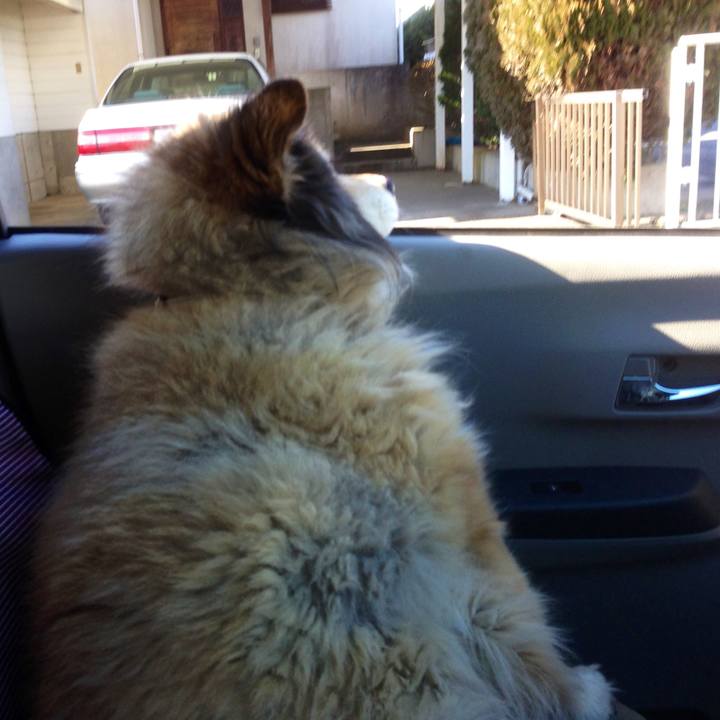 2033ff8b 8158 4bab bfab f30380306219 1615603216842