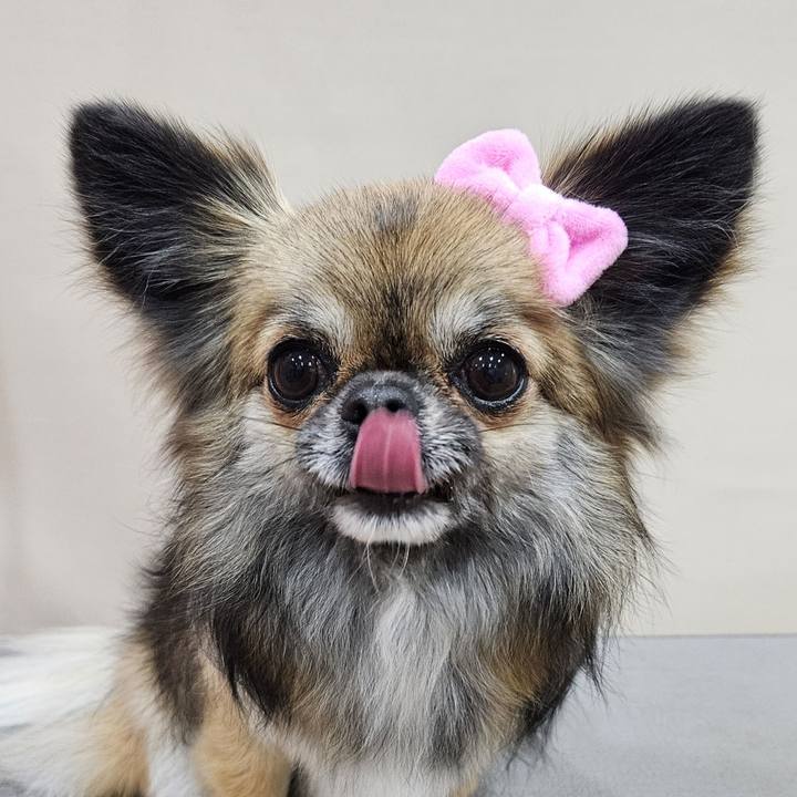 20346adf fae7 4a26 8f18 ed2f59a22917 1765361075989