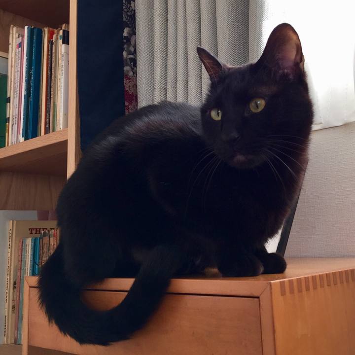 20349c90 15b0 43a5 81b1 42870ea87e51 1512539879393