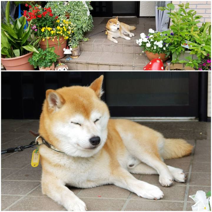 2034b153 fbba 4c35 86d6 80bd08a69033 1591922405328