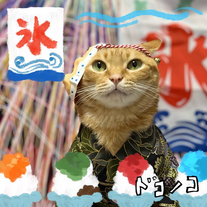 2034f365 1b73 4a2e ac44 9eb7872615a5 1723191835773