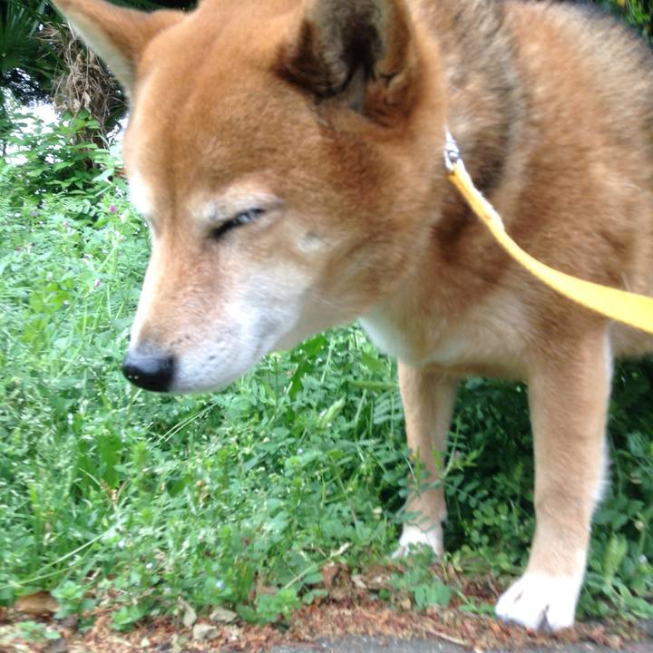 20354b21 c388 40ff bef1 ed062663a217 1523935543739