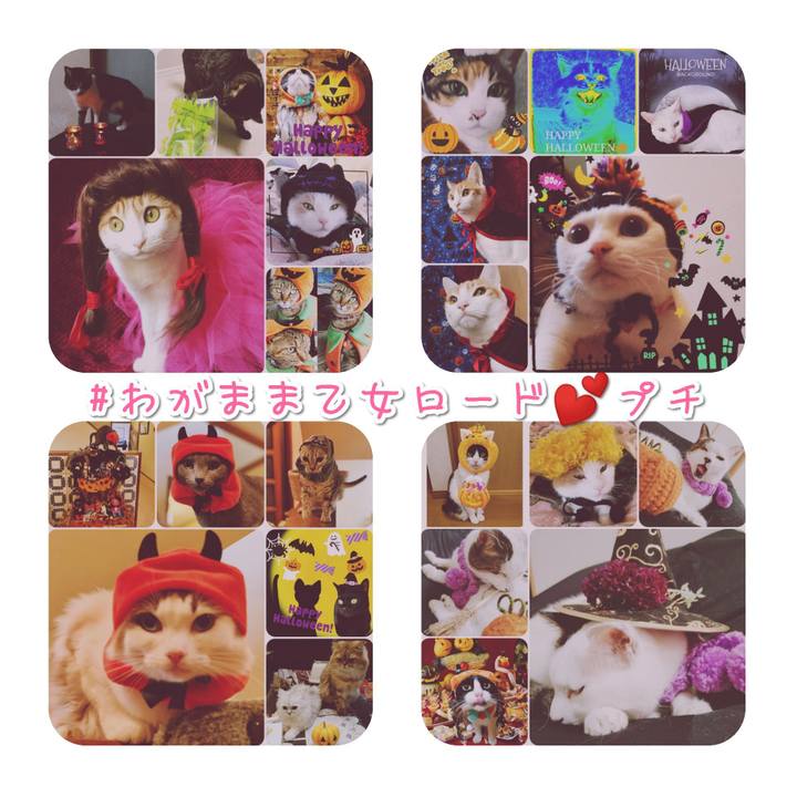 203550fc 618e 40cf ad29 d117b6b577a3 1572610322508