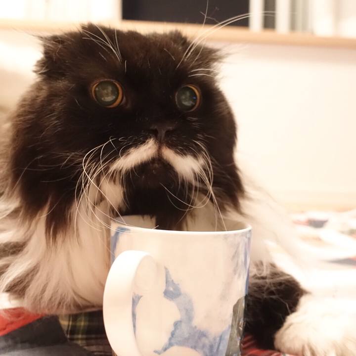 20356bb4 089c 419f 8678 c6621b52d998 1527952099869