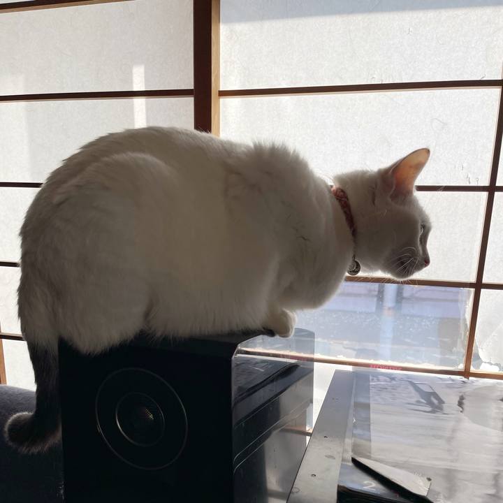 20357688 2f55 43d5 baf5 c4699364c1f0 1771127234466