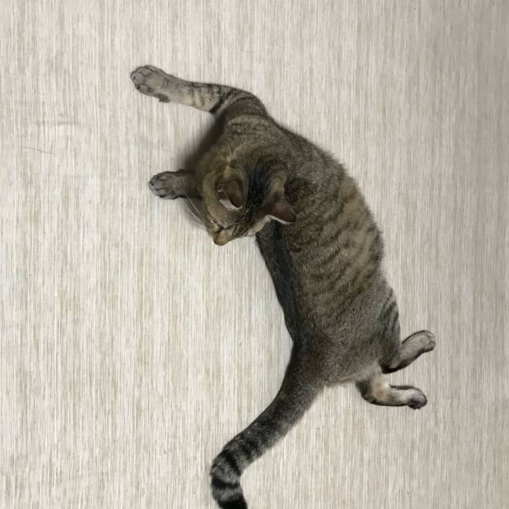 20357bdc dd0c 4222 9c74 d835a13cedb0 1592293485643