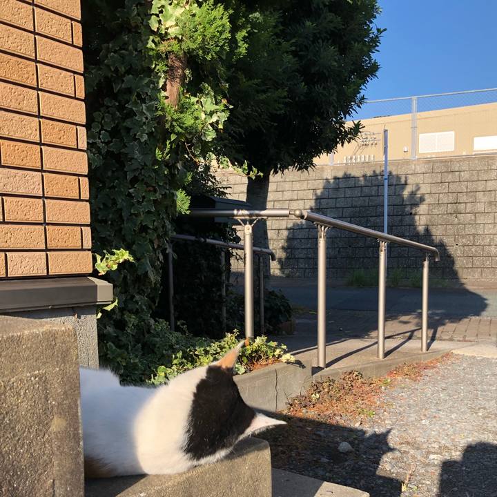 2035c72a 9471 4195 868b 70c357b6d06f 1602977476575