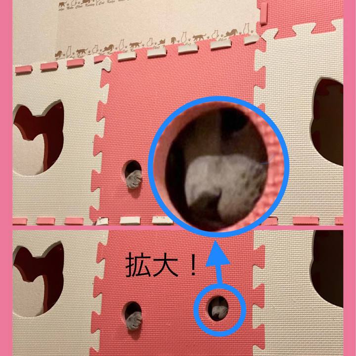 2035dca7 3771 4ab5 a710 ed63cf58dce9 1616844302844