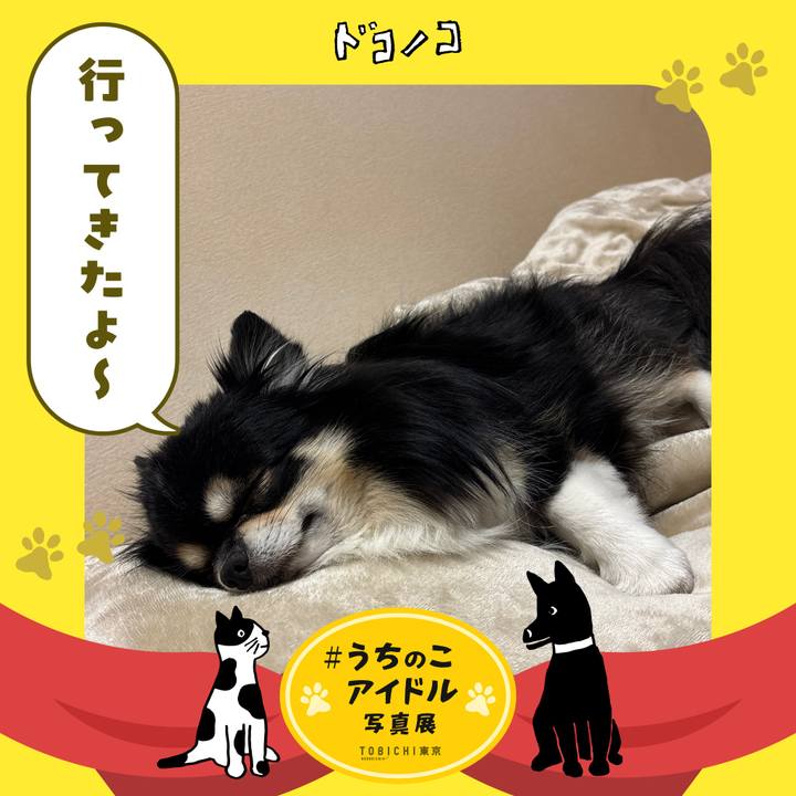 203615b9 310b 4e34 964d e67b40c2ebba 1761277502725