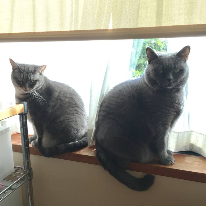 20362a97 638a 4363 a9a9 88c303846723 1509671729076