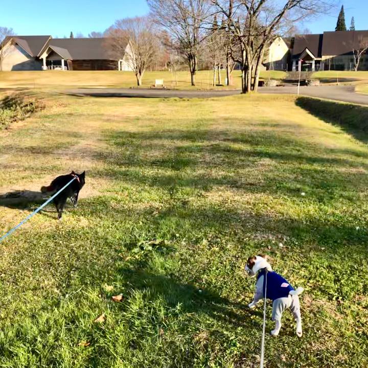 20366dfa 5d6d 4bbc bef1 42972f0cdf8e 1543316728711