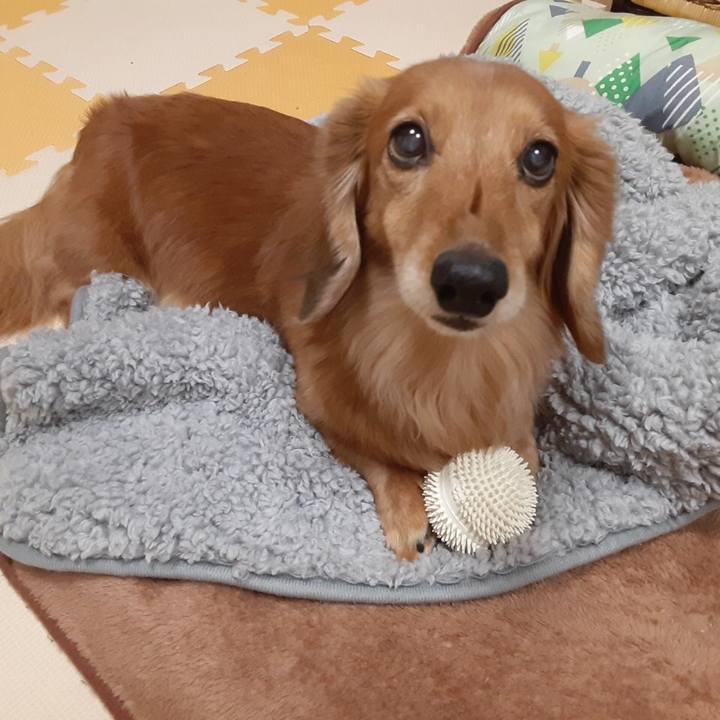 20368a3e 90b2 4cc9 9f55 52102c9a7f52 1614087648195