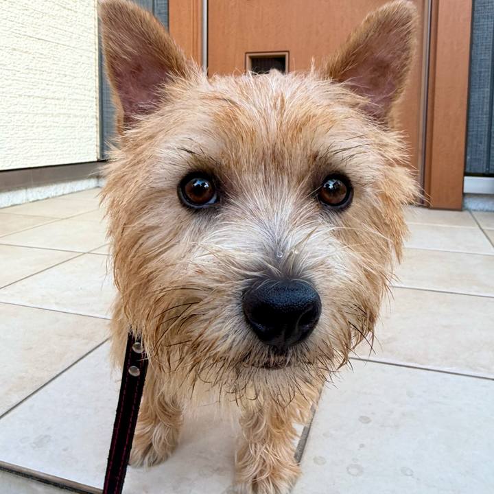 20369271 259e 4280 9e5e 00d5da0154c7 1760790893259