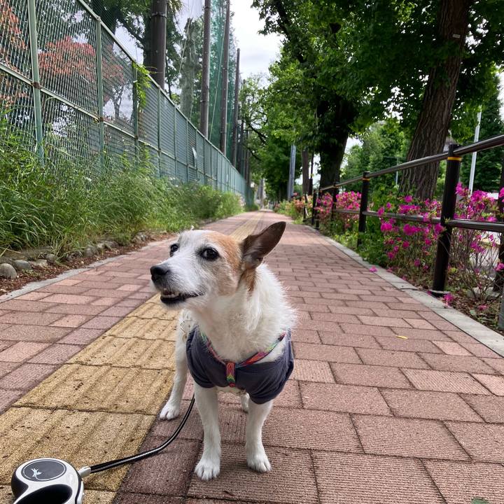 2036afb0 472c 4f04 98a1 14e25ef94d83 1747013931608