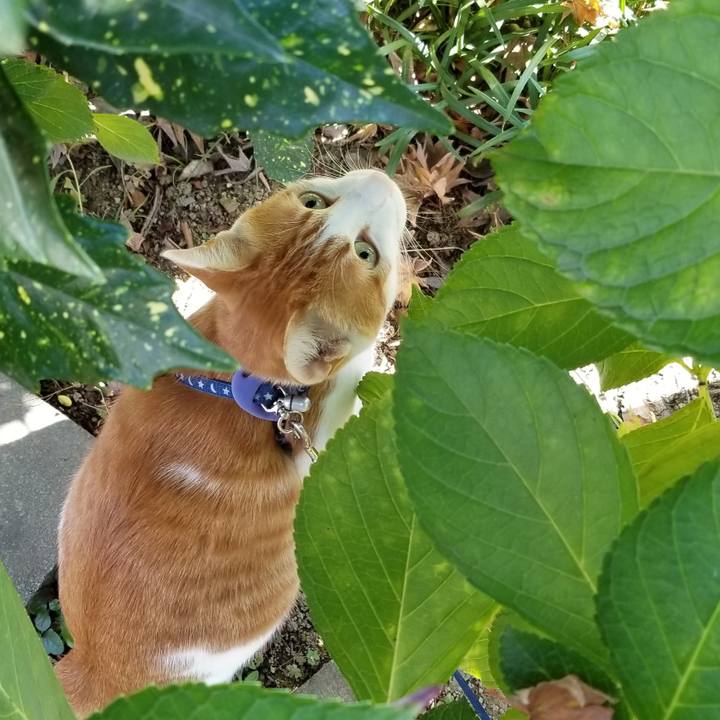 2036b92c a238 4b2b a42b a625a4c27708 1541222264927