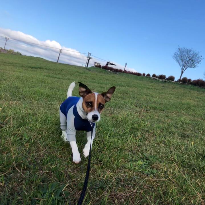 2036d5d7 0b81 4592 8797 2ff6834b0a57 1571227057848