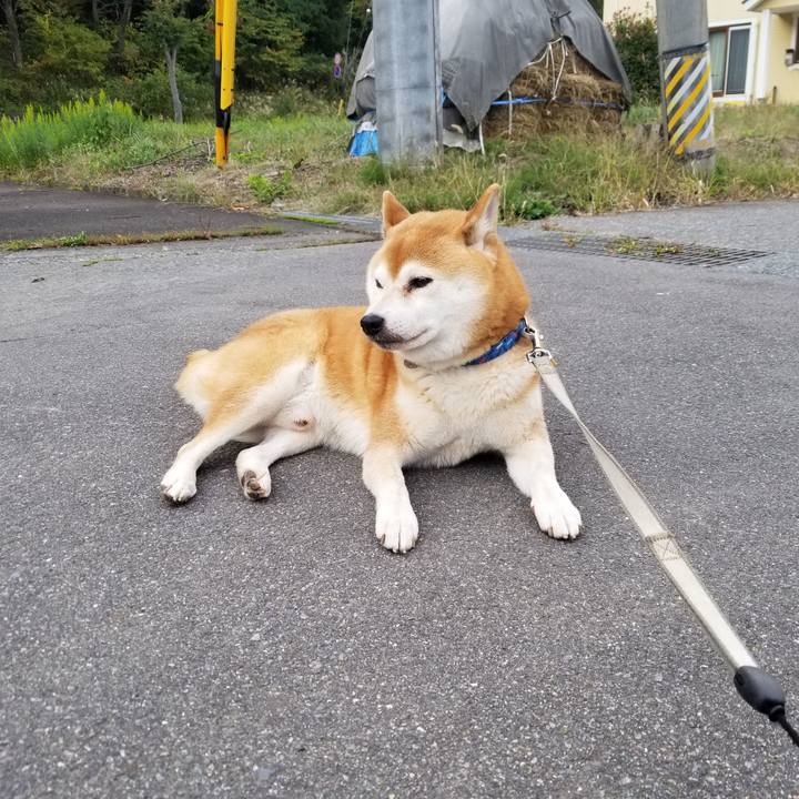 2036e0c3 5221 4348 9ac1 d2a0b51ebef1 1571814191775