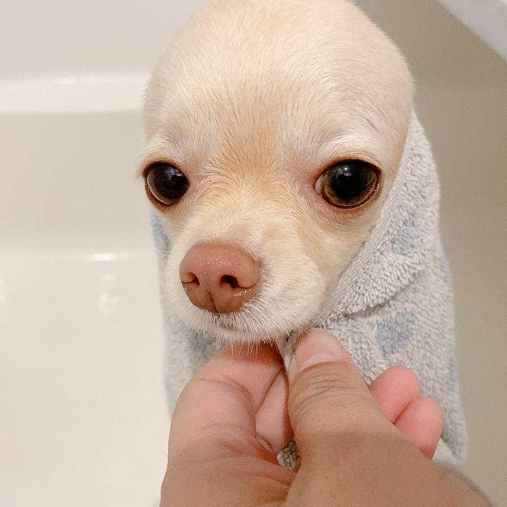 2036e762 e5ed 471a bd4c a069e710cbc8 1616240184969