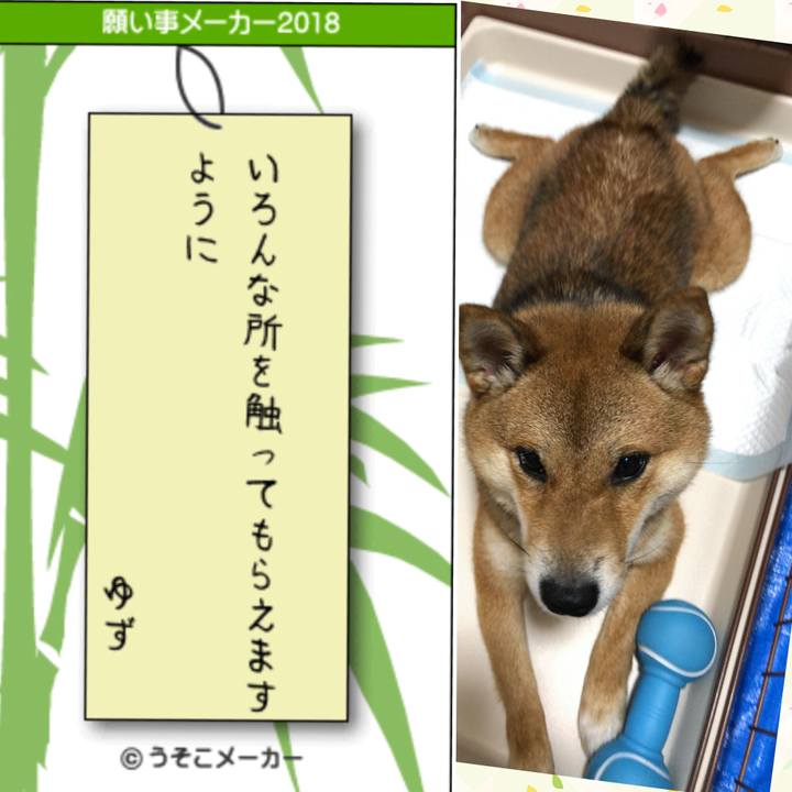 2036fd8b f3b3 43ed b3d7 7e30eec58836 1530955438876