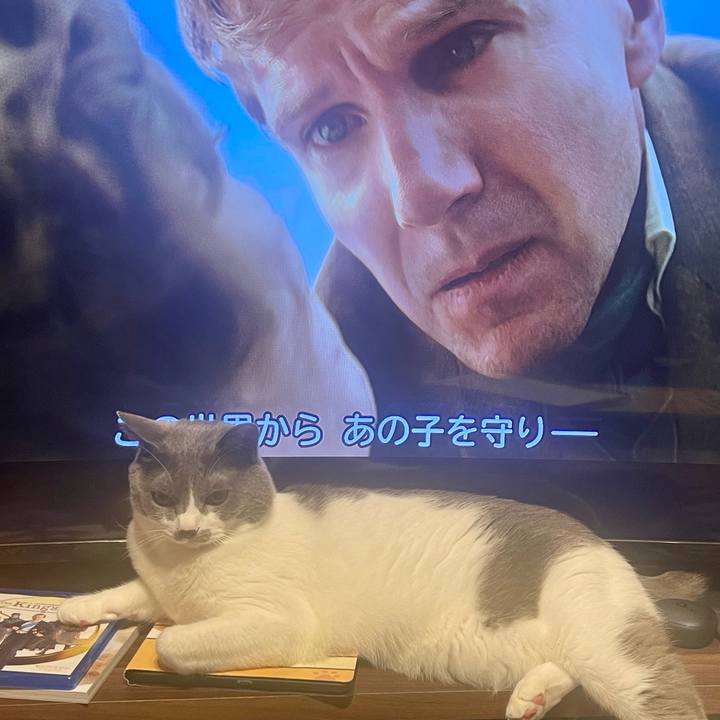 2036ff4d 16f0 480e 880a 3bfe3918302b 1665928543945