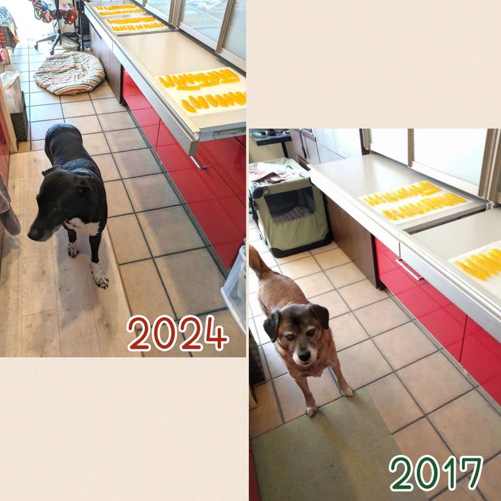 203707ed 3a45 4750 ac97 74db36aff069 1710413365642