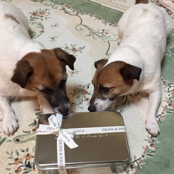 20372bf9 b6fc 4c2e a89c f241056a2e78 1549115948313