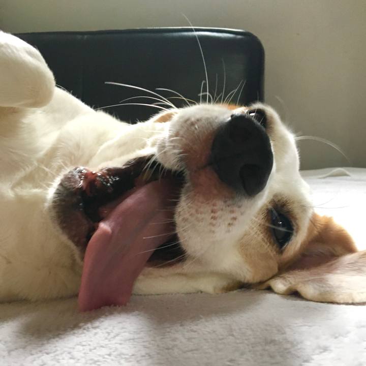 20373d28 2292 44f2 8412 1efe03660861 1614993327133