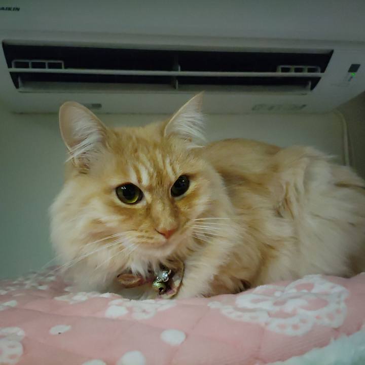 2037560b 0401 4237 8f52 36f110b2972b 1704837014652