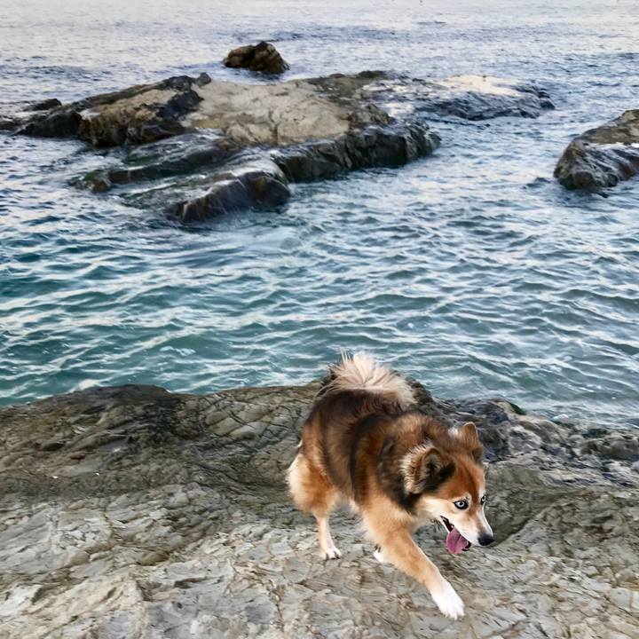 20376256 ece1 4f9d 94d3 6005091b8c1a 1545725540092