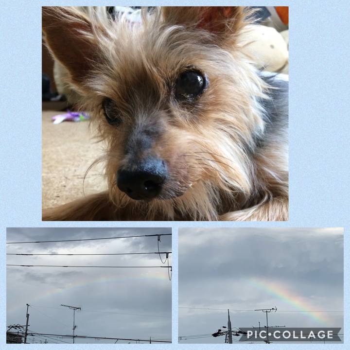 20377aec 289e 4b0d a4c4 41dea54f3679 1570709196502