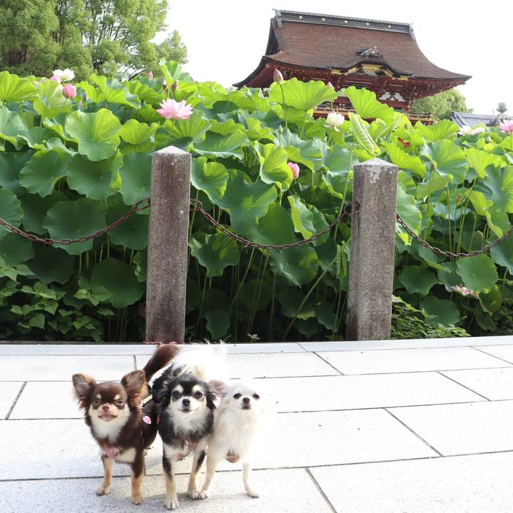 2037994e 30d9 462c abc3 72a84902b0f0 1752616139967