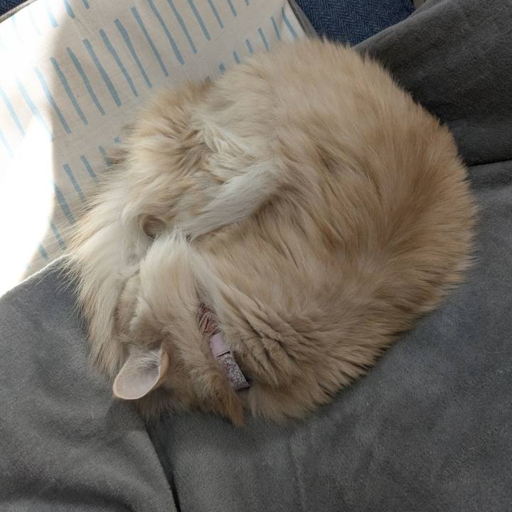 2037bbcb e836 4a90 abc1 9b650e7e1c86 1769393951565