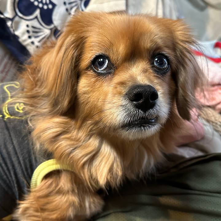 2037bec3 8f63 476c 8004 e2f4d14dd582 1677016671129