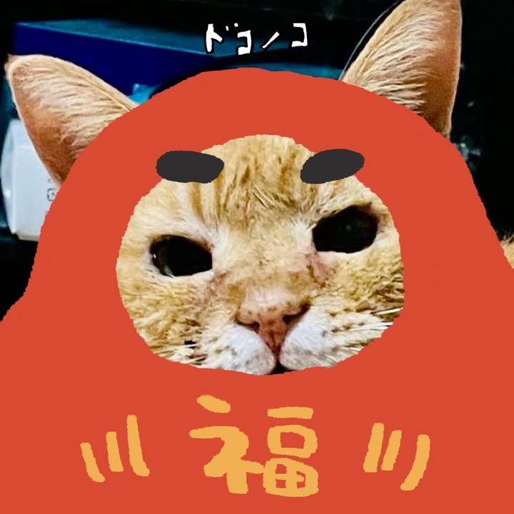 2037d5ef 0d33 4422 b200 713c8054402e 1771848418842