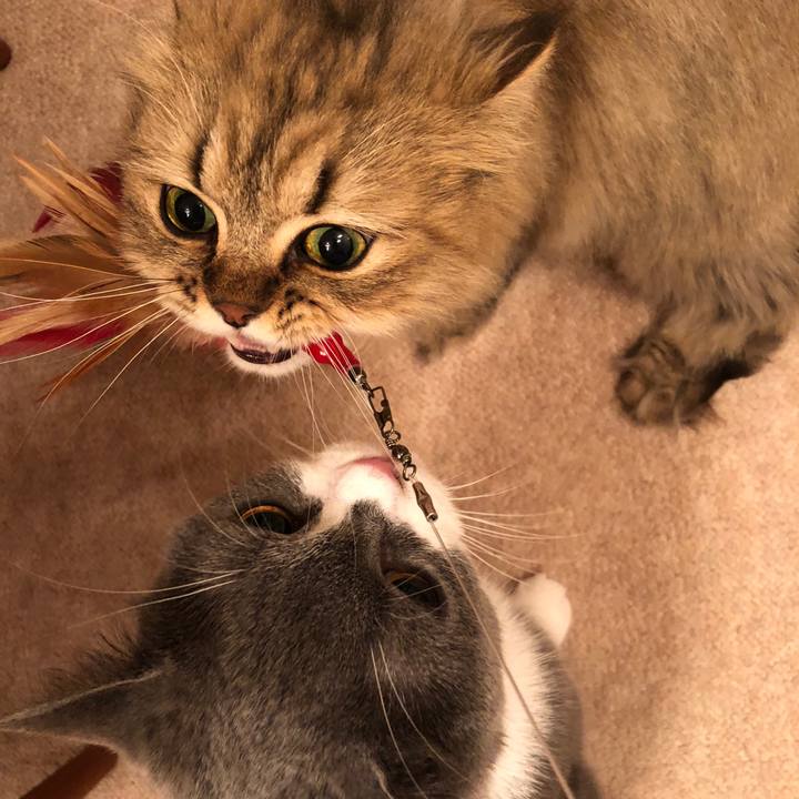 2037dfed 0dc5 45c7 8f40 358984d50f15 1533044464999