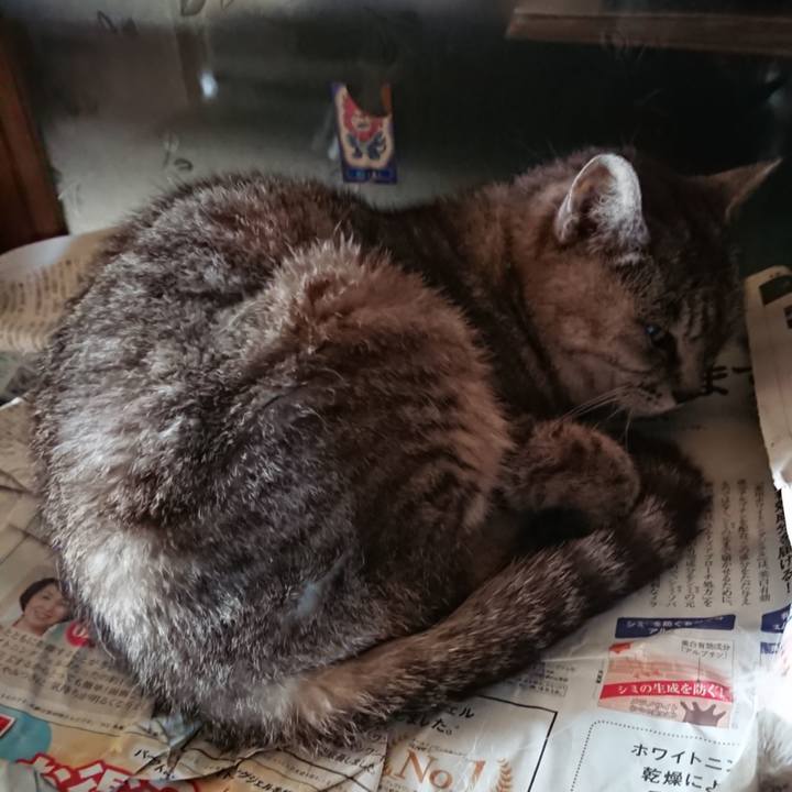 20383bb9 e76b 4e24 8864 1bc65ce9c667 1566856137500