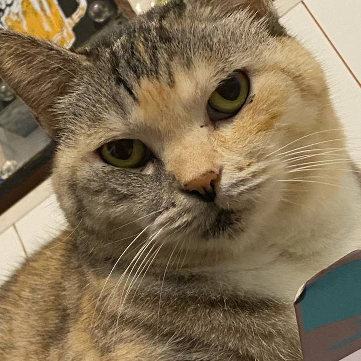 20384a95 ba99 44f2 875c db784a4e724f 1665931977519